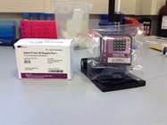 Analysis of Small Molecular Weight Protein Samples