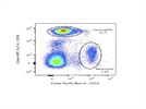 Good Antibody to Identify CD14+ T Cells