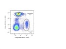 Good Antibody to Identify CD16+ Neutrophils