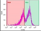 Labeling CCR2 on Monocytes