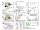 Brilliant Violet 650 Anti-Human HLA-DR Antibody