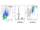 Good General Purpose B Cell Marker