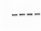 Good Phospho STAT3 Antibody