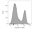 Good Antibody to Identify CD73+ T Cells