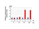 Luciferase Assay System from Promega
