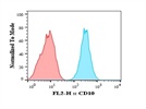CD10 Expression by Human Fibroblasts