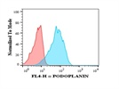 Podoplanin Expression by Human Fibroblasts