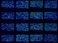 Genotyping: PCR and Microarrays Are Still Validating Results