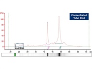RNA Clean-Up and Concentration Micro-Elute Kit