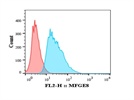 MFG-E8 Expression by Human Fibroblasts