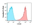 Nice Antibody to Detect CD45+ Cells from the Tonsil