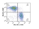 Detection of T Cells Using Anti-CD3