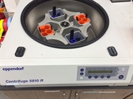 Best Swing-Bucket Centrifuge for the Money