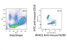 Good Marker for Peritoneal Macrophages