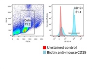 Good General Purpose B Cell Marker