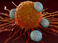 Disease Diagnosis with CTC Tools