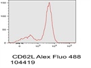 CD62L Alexa Fluor 488