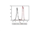 Excellent PE Isotype Mouse IgG2b