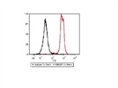 Flow Cytometry Staining of Murine HMGB1