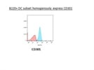 Homogenous Staining
