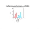 Measuring CD86 Expression