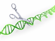 Genome Editing Services Enlist the Power of CRISPR-Cas9