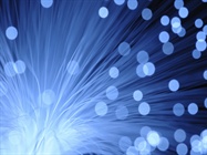  Cellular Reporters: What’s the Bright Idea?