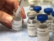 ImmunoStar Primary Antibodies
