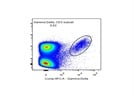 Good Specific Staining Antibody for gamma delta TCR