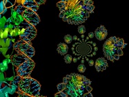  Epigenetics and Histone-Modification Tools