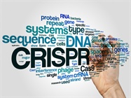DNA, RNA, Protein Let Me Introduce You with CRISPR/Cas9