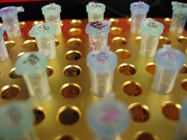  Detecting Rare Mutations Using qPCR and dPCR
