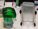 Mini-PROTEAN System is Worth Every Penny