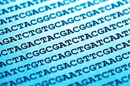 Next-Gen Sequencing 2016 Update