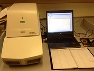 CFX Connect Real-Time PCR Detection System