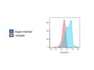 No Staining with CD27 Antibody