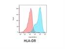 Bright Staining with HLA-DR Antibody