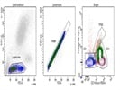 Human CD3 (Brilliant Violet 510)