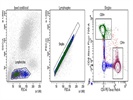 Human CD4 (PE/Dazzle 594)