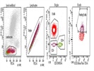 Detection of Dendritic Cells