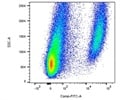 FITC Anti-Mouse CD11c Antibody on Mouse Cells