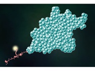 Mabsol® Biotinylated Proteins (PrecisionAvi and UltraLys Series)