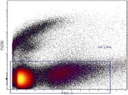 Fixable Viability Stain for Identification of Dead Cells
