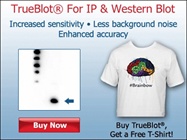 Free T-shirt with TrueBlot IP Western Blotting Purchase