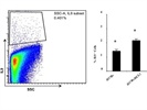 Anti-Mouse IL-9 Antibody