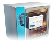 IncuCyte® Live-Cell Imaging and Analysis System