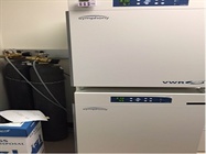 Great Cell Culture Incubator with Self-Cleaning Mode at an Excellent Price