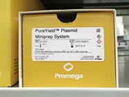 Transfection Quality Plasmid DNA in Shortest Time