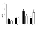 Easy and Cheap IL-17 Detection ELISA Kit
