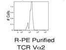 Purified Anti-TCR Va 2 Antibody